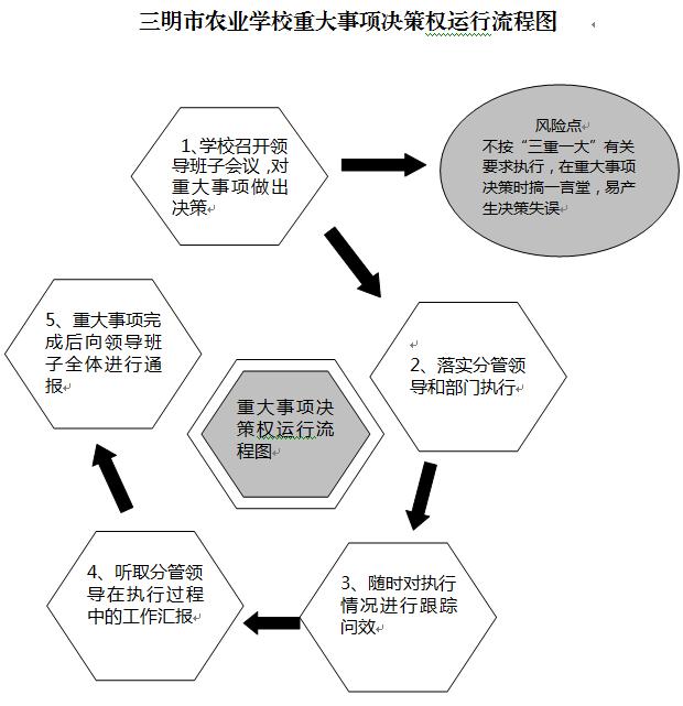 开云中国重大事项决策权运行流程图.JPG